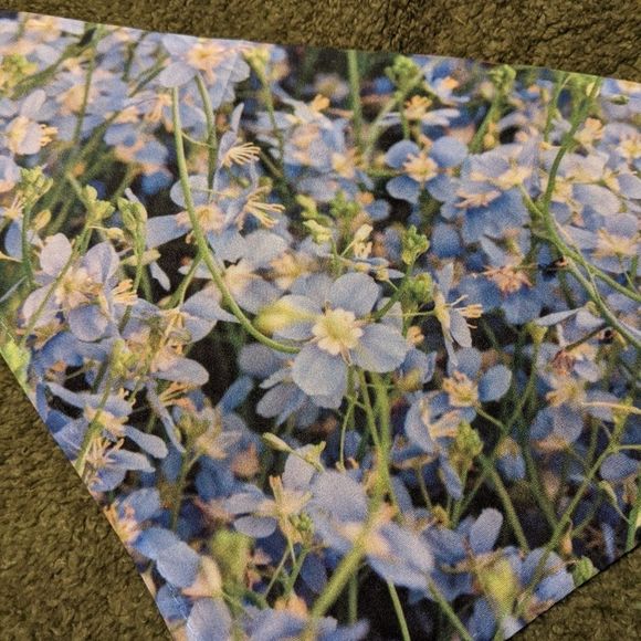 Original Photography Small Blue Floral Dog Bandana - Picture 3 of 9